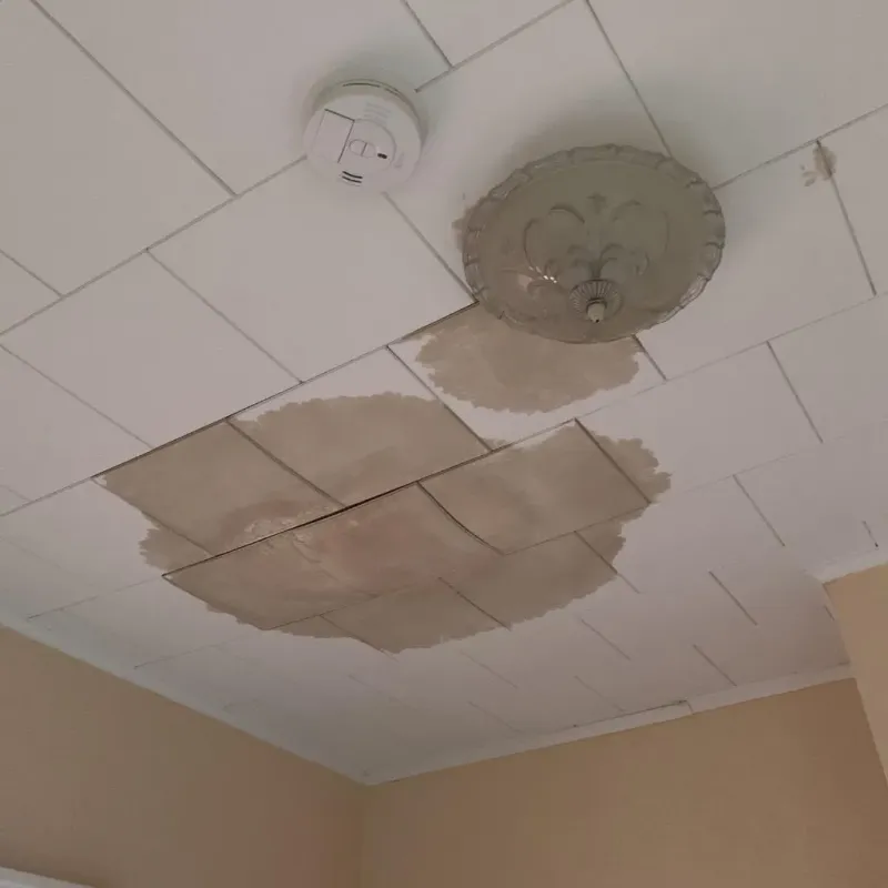 Ceiling Water Damage Repair in Odessa, TX