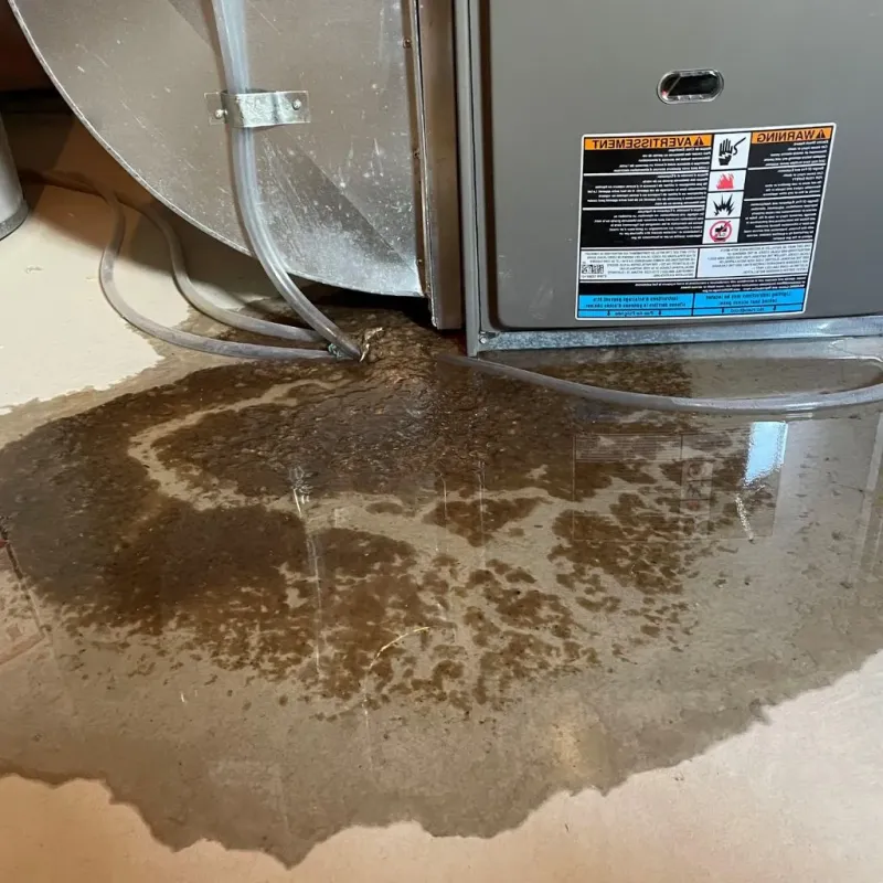 Pipe Burst and Leak Restoration in Odessa, TX
