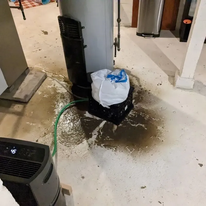 Sewage Backup Cleanup Service in Odessa, TX